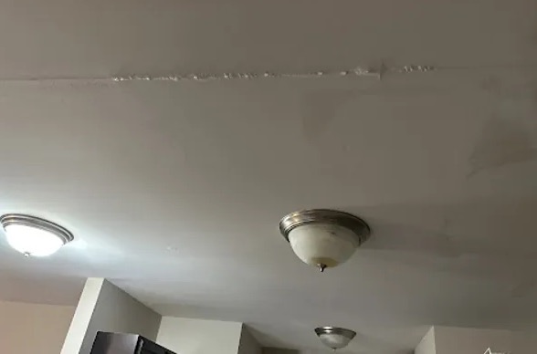 Ceiling Water Damage Repair in Picnic Point, WA