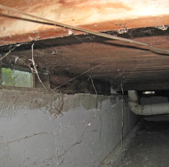 Crawl Space Water Removal in Midland, WA