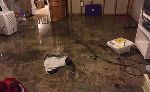 Weekend Water Removal in Parkland, WA