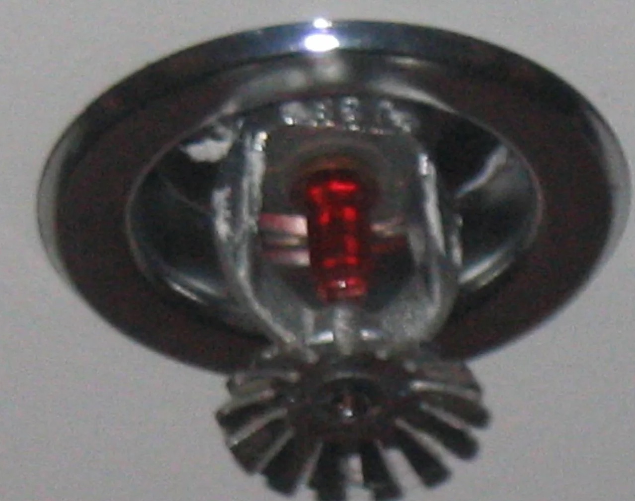 Sprinkler System Water Removal in Renton, WA