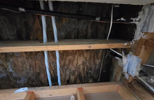 Attic Water Removal in Sammamish, WA