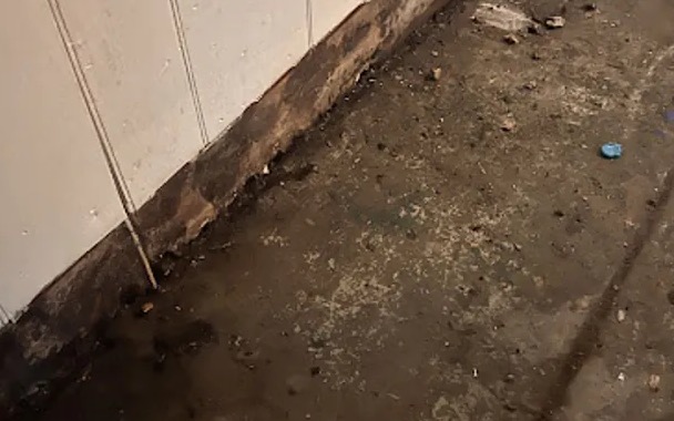 Contaminated Water Removal in Parkland, WA