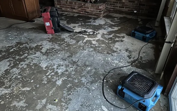 Emergency Storm Cleanup Services in Redmond, WA