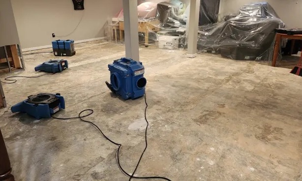 Structural Drying Services in Picnic Point, WA
